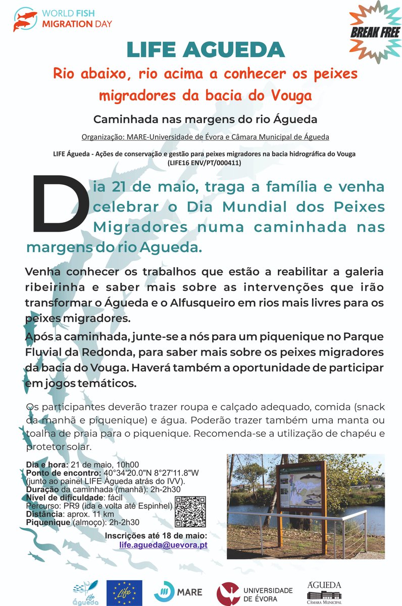 LifeAgueda's tweet photo. No dia 21 de maio, o @LIFEAGUEDA vai celebrar o Dia Mundial dos Peixes Migradores com uma caminhada e um piquenique nas margens do rio Águeda. Inscreva-se, traga a família e os amigos!
Mais informações em:
https://t.co/V6hV9fRxs5
#WFMD #WorldFishMigrationDay #Lifeprogramme https://t.co/aG4RAE5ivt
