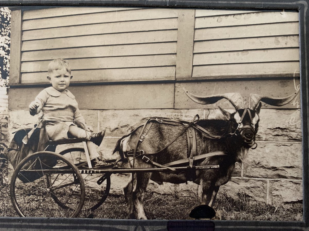 19YrsNotCountingKindergarten tweet media