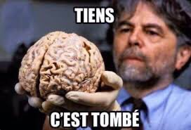 Xi_Jinping_Chef's tweet photo. @APchris06 Ne soyez pas si durs avec ce pauvre monsieur, il avait juste perdu quelque chose 🧠 https://t.co/iSk0dPayuk