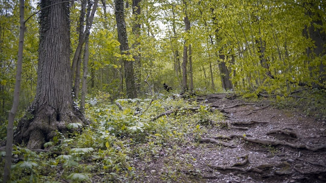 edshank3's tweet photo. Had a rare chance to make art for art’s sake today. #NaturePhotography https://t.co/mZrqhZPvJ9