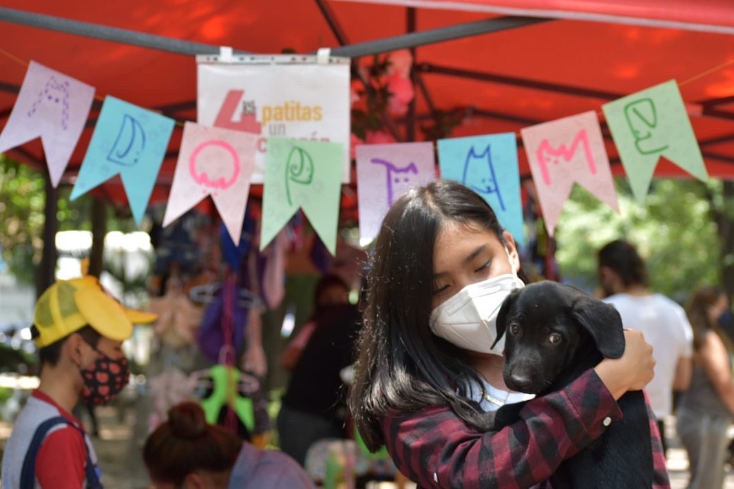 MargaretSaldana's tweet photo. Este fin de semana realizamos en el Parque de la China el Can Fest @AzcapotzalcoMx 2022, reafirmando el compromiso social de mi gobierno con la protección y el bienestar de los animales domésticos, así como su reivindicación como seres sintientes. https://t.co/IyycrVEL87