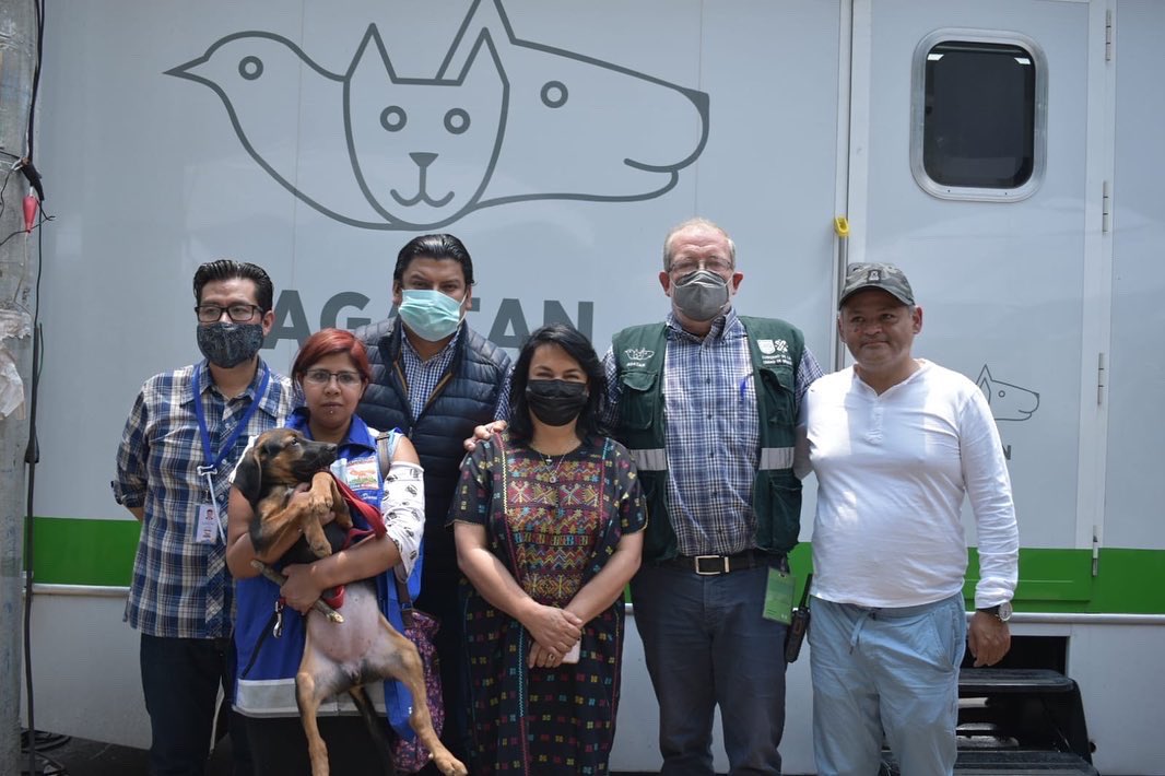 MargaretSaldana's tweet photo. Este fin de semana realizamos en el Parque de la China el Can Fest @AzcapotzalcoMx 2022, reafirmando el compromiso social de mi gobierno con la protección y el bienestar de los animales domésticos, así como su reivindicación como seres sintientes. https://t.co/IyycrVEL87