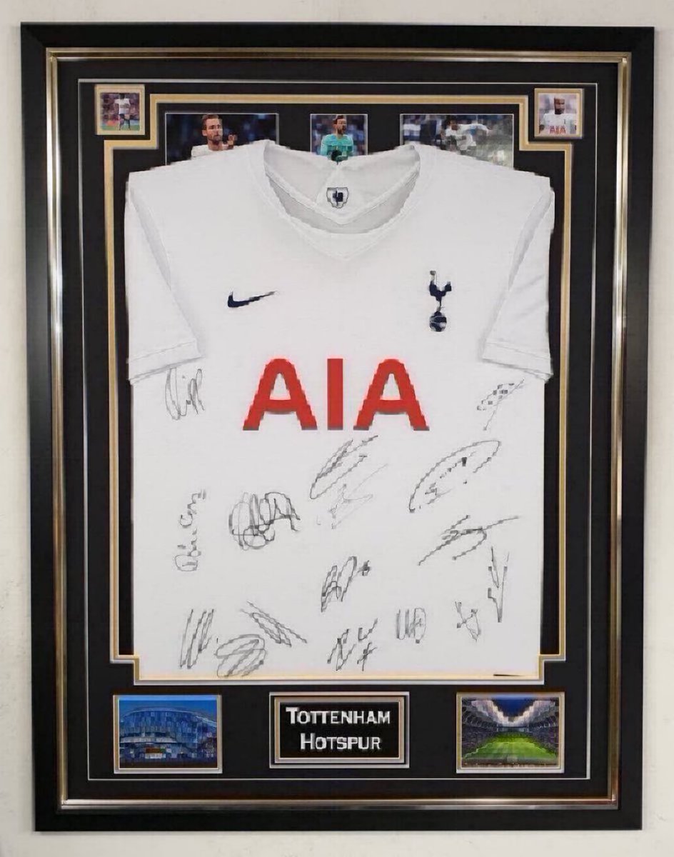 This fantastic piece signed by the  spurs squad Dm me bid on this lovely piece for my charity https://t.co/AhapFM0uGj