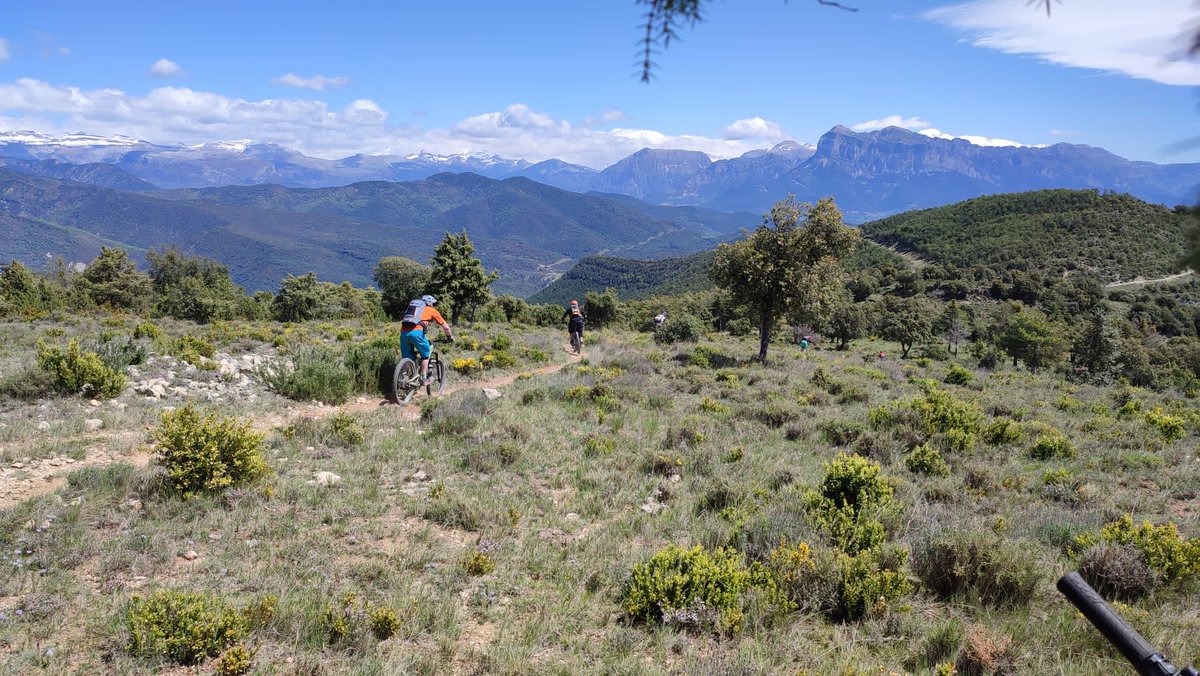 P_HEDGEHOG's tweet photo. A few more from the guides. First 2 show the scale of the place #mtb #basquemtb https://t.co/TRfYoz5nGc