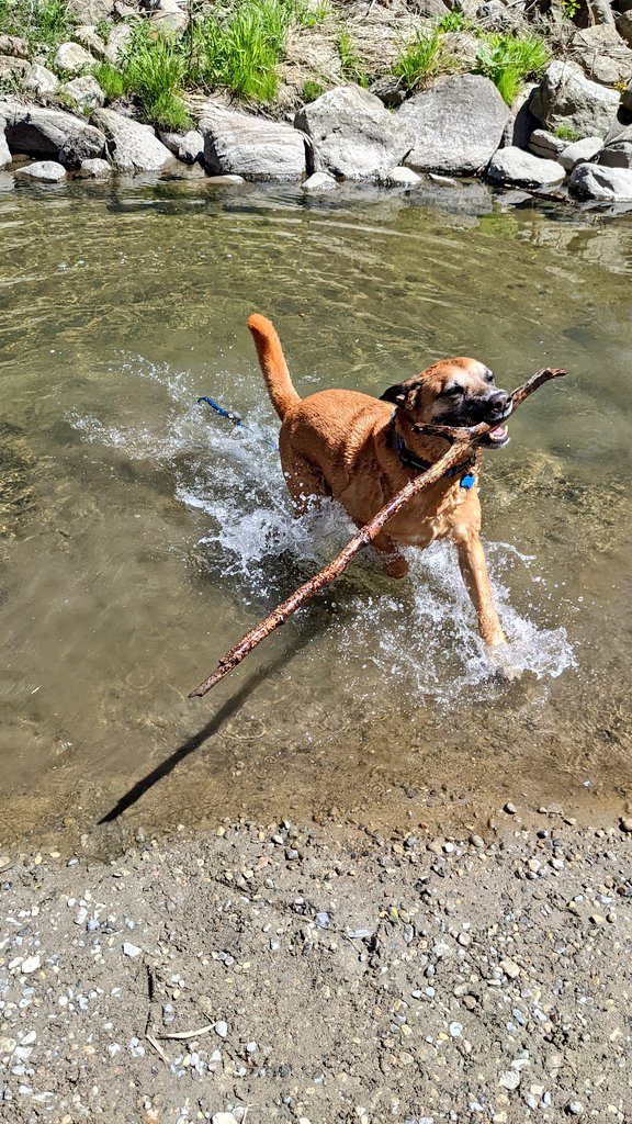 Amber Mac tweet media