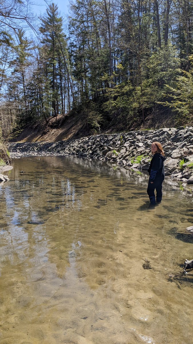 Amber Mac tweet media