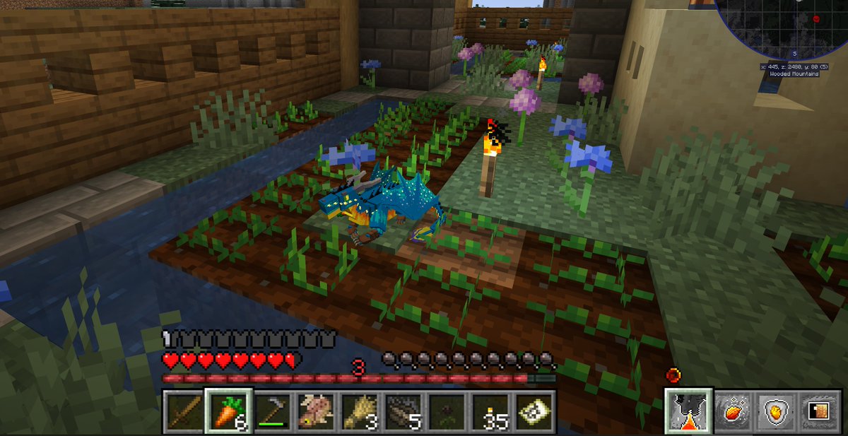 now that my office is in order and life getting sort of back to normal.

I been working on the Dragon role play server for modded minecraft.

just not sure if i should continue work or wait for 1.19