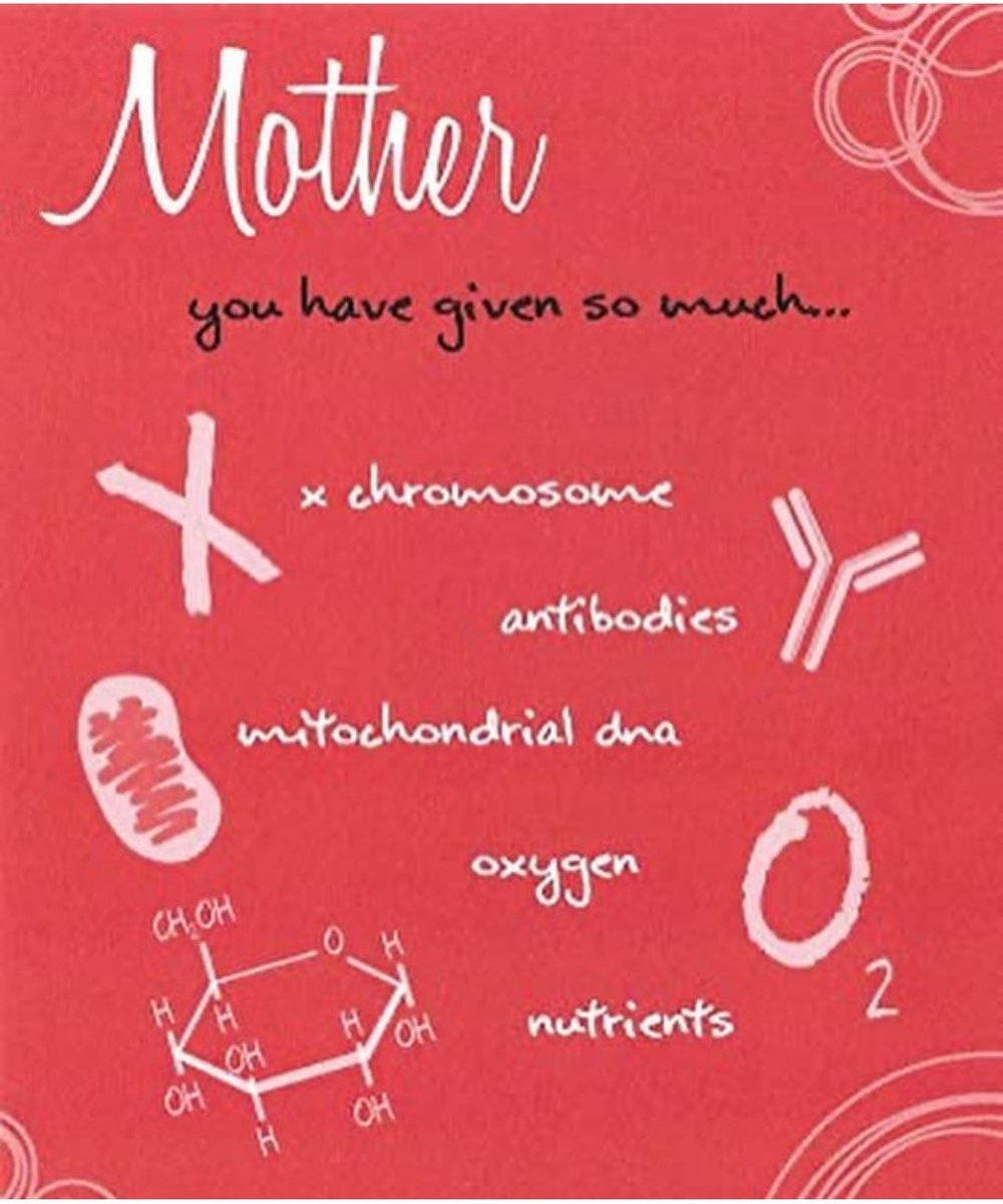 KariMcCormick20's tweet photo. Happy Mother's Day! https://t.co/dAsdBeKdjI