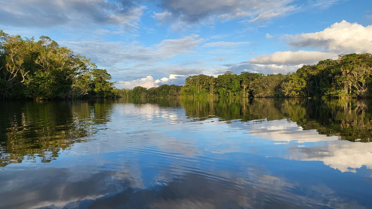 AlexPinturault's tweet photo. L'Amazonie 😍🌱 #AmazingLandscape #NatureLover #Amazone #Equateur #Exploring https://t.co/qacUxhQBPj