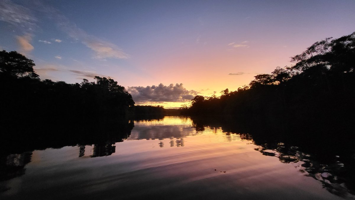 AlexPinturault's tweet photo. L'Amazonie 😍🌱 #AmazingLandscape #NatureLover #Amazone #Equateur #Exploring https://t.co/qacUxhQBPj
