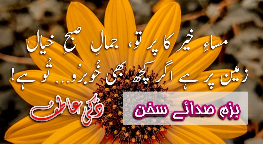Ehtishamnazir's tweet photo. مساءِ خیر کا پرتو, جمالِ صبحِ خیال 
زمین پر ہے اگر کچھ بھی خُوبرُو... تُو ہے!!!

ذکی عاطف https://t.co/qkPVgE6XAc