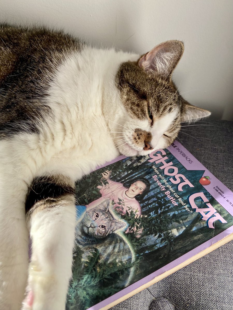 _mannasaurusrex's tweet photo. The cat + horror book club took a few creaky steps back in time with some spectacularly-named YA fiction. Poppadum has promised to haunt me one day, but that’s probably because he’s too lazy to actually leave this plane of existence. https://t.co/pAOwIGvh0B