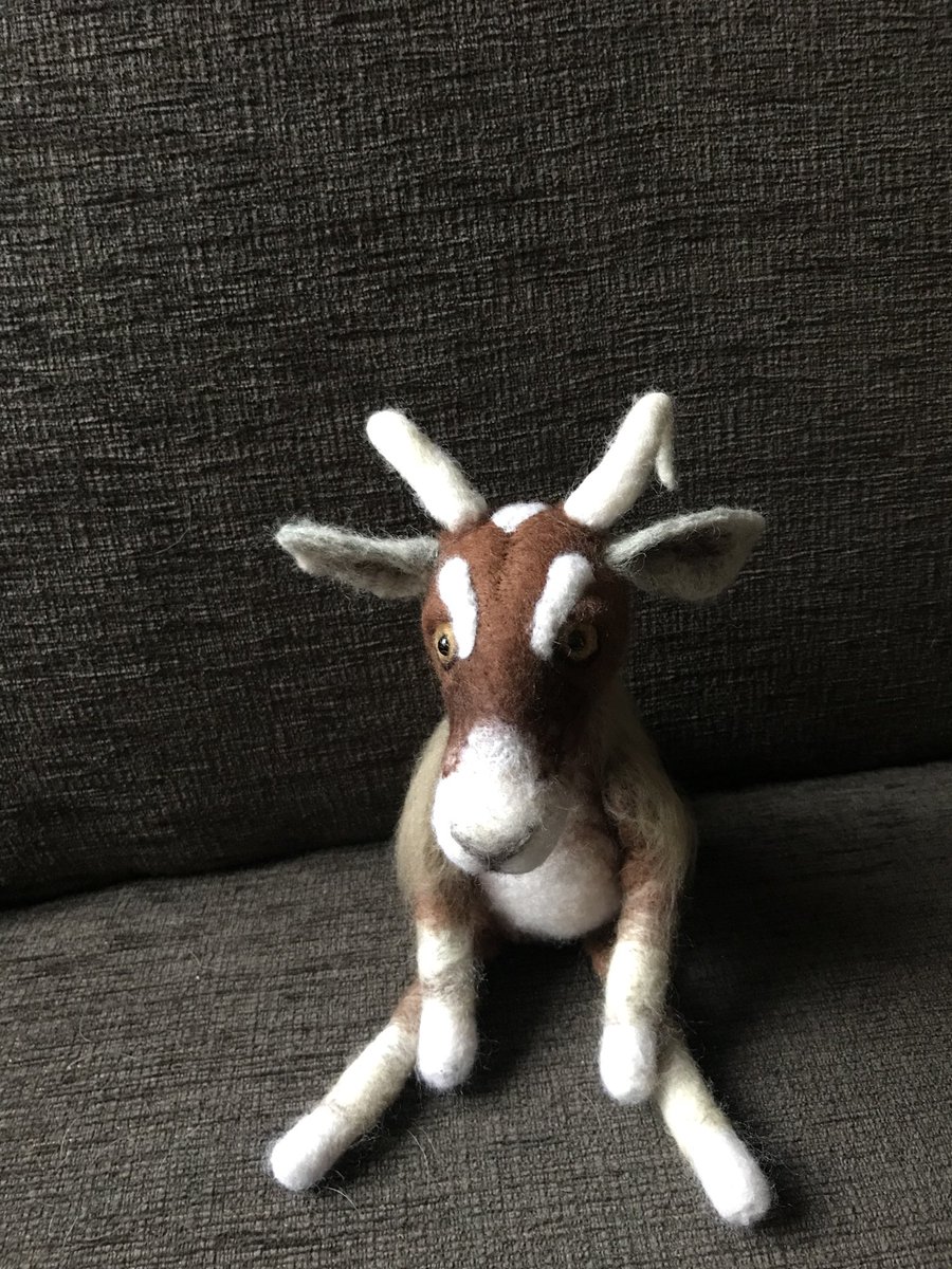 Honestly im not grumpy i just have a grumpy face! #sundayvibes #handmadehour #crafthour #GOAT𓃵  just to prove i dont just make cats and dogs... whatever type of pet you have, i can make it for you xx message me for your own...still happy to make cats and dogs too x