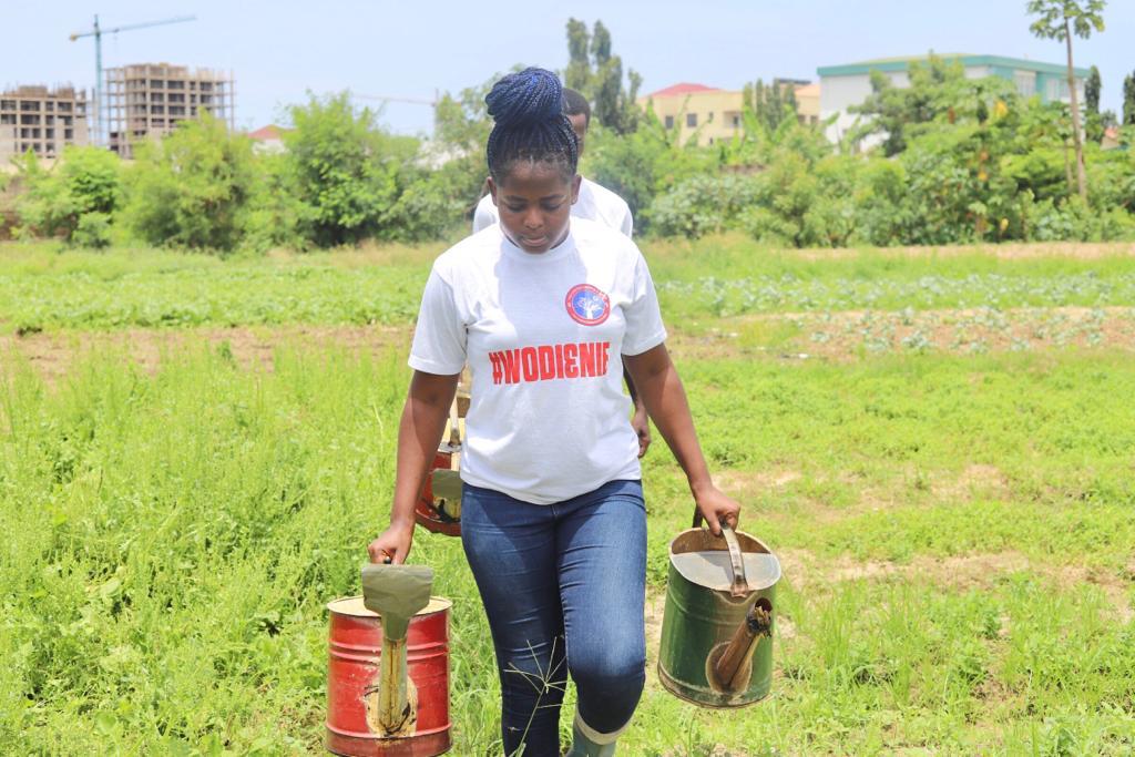 uppofficial__'s tweet photo. Agriculture is the backbone of Ghana’s economy and must be attractive for the youth to venture into the sector.
The UPP government has plans to improve the agricultural sector to aid Ghana’s development. 

Change has come!🔥🔥

#Wodi3nie
#GijPolcom2022
#SimulatedCampaign https://t.co/ZKMUlUYE31