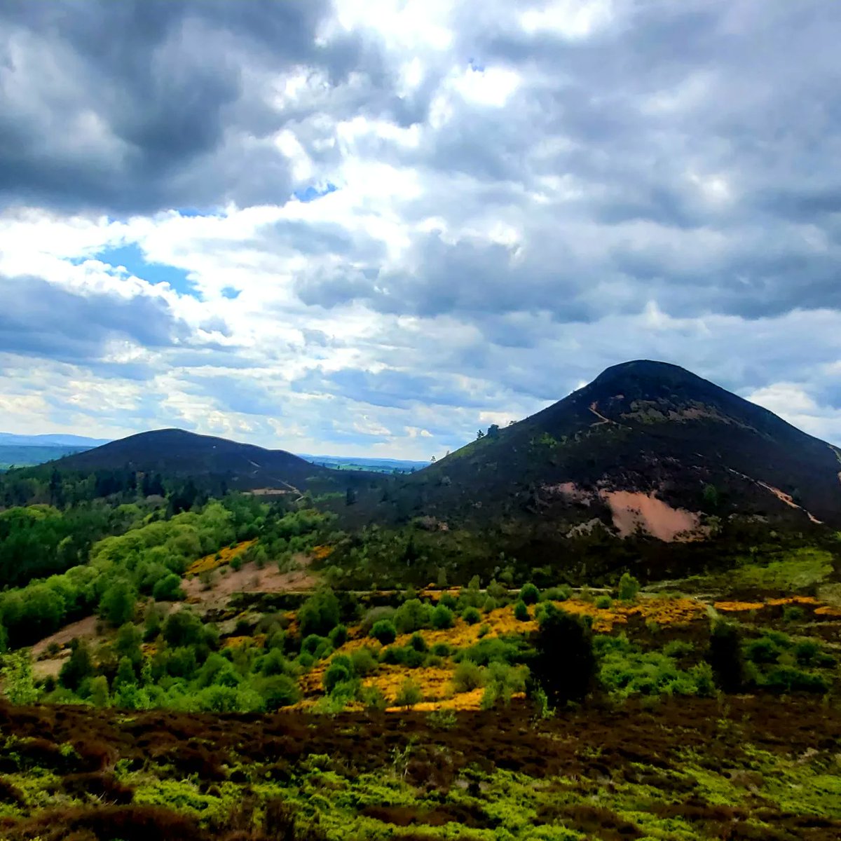 blonde_on_bikes's tweet photo. Lovely walk up the #eildonhills today with @Sedgeburn
#scottishborders #melrosepaths #eildonhills #sundaywalk https://t.co/JbOXJjl68i