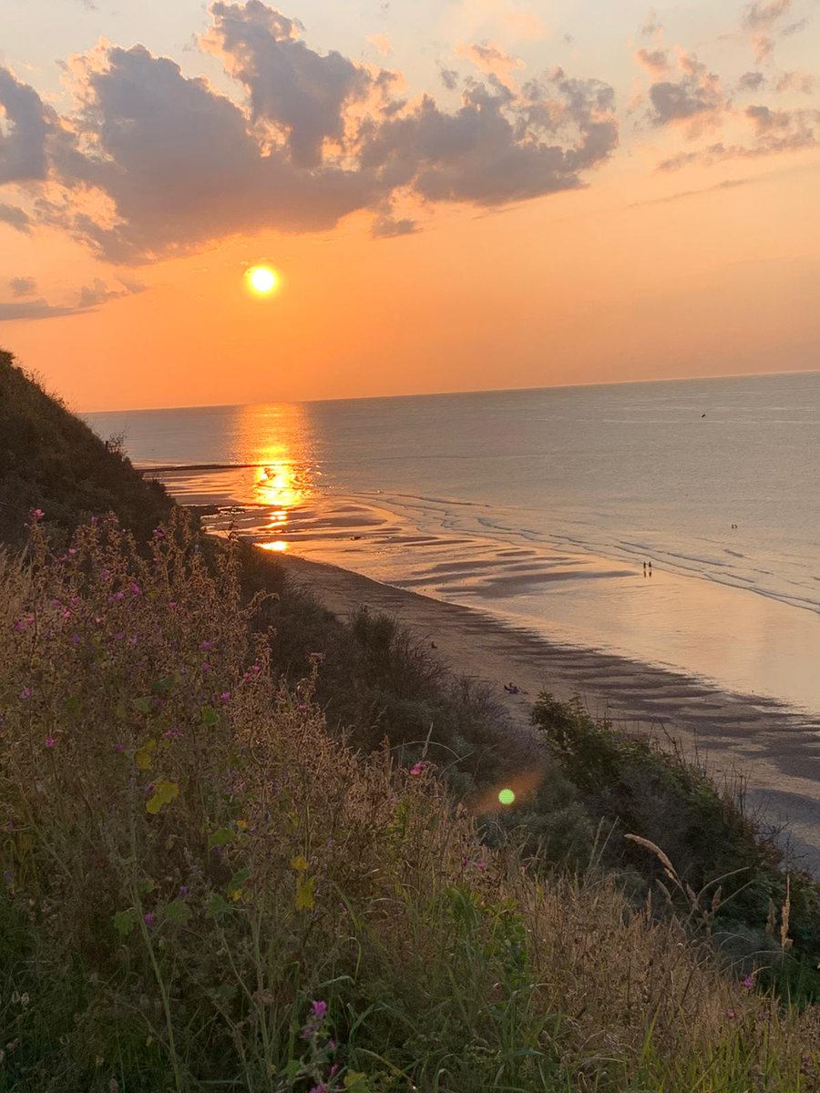 Felbrigg Jonas Farm tweet media