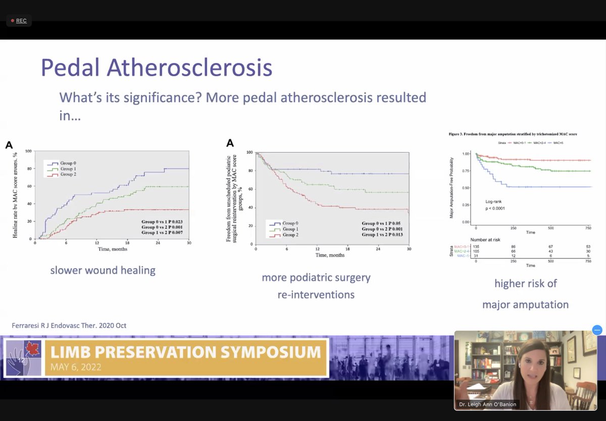 Project Saving Legs tweet media