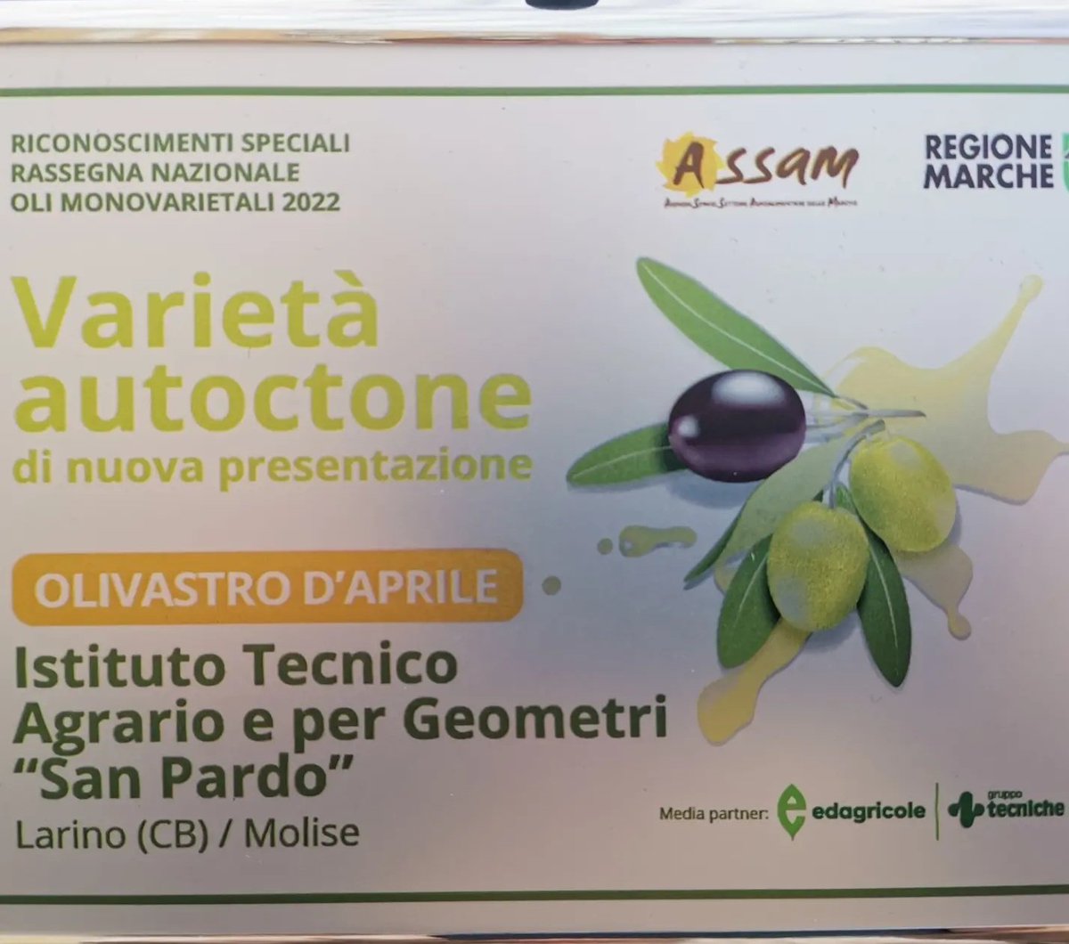 AgrarioL's tweet photo. #Monovarietali italiani, riconoscimento per l'Olivastro d'aprile, varietà autoctona del #Molise #olioevo #olioextraverginedoliva https://t.co/Oo81so3Uyb
