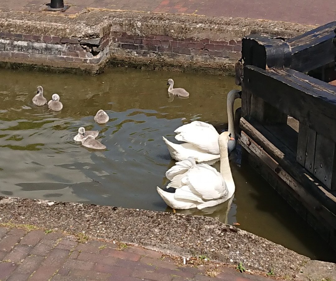 Sherlocked💜 tweet media