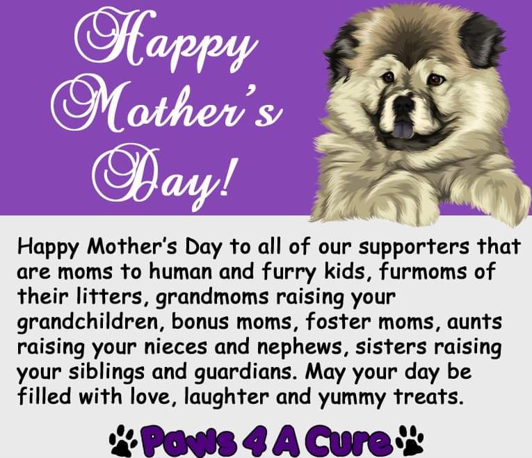 Paws 4 A Cure tweet media
