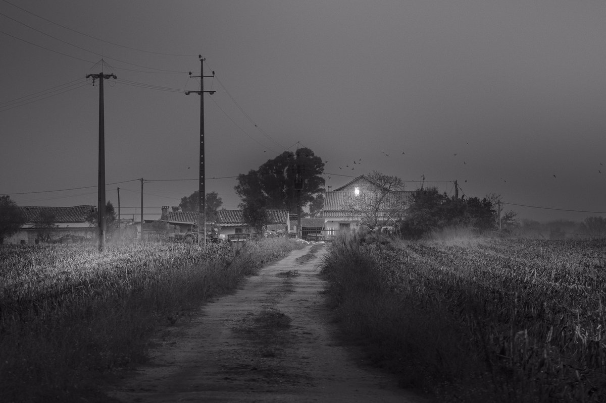 HenriPrestes's tweet photo. Some photos I took in black and white https://t.co/gMEFLwvQ8g