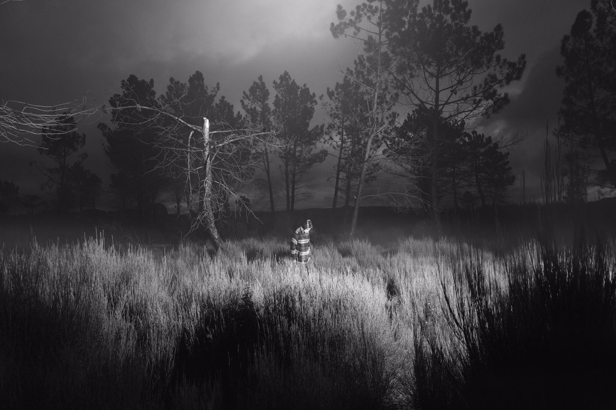 HenriPrestes's tweet photo. Some photos I took in black and white https://t.co/gMEFLwvQ8g