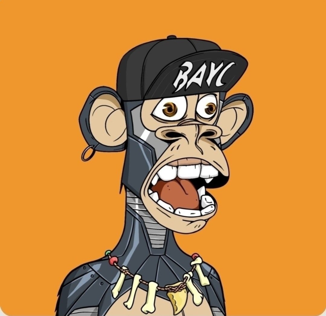 Lucky1seth's tweet photo. Officially 1 year! "Ape Day" Anniversary 👊🍊 Luv ya fam!🧡 @BoredApeYC @yugalabs https://t.co/nTUU5CuiB0