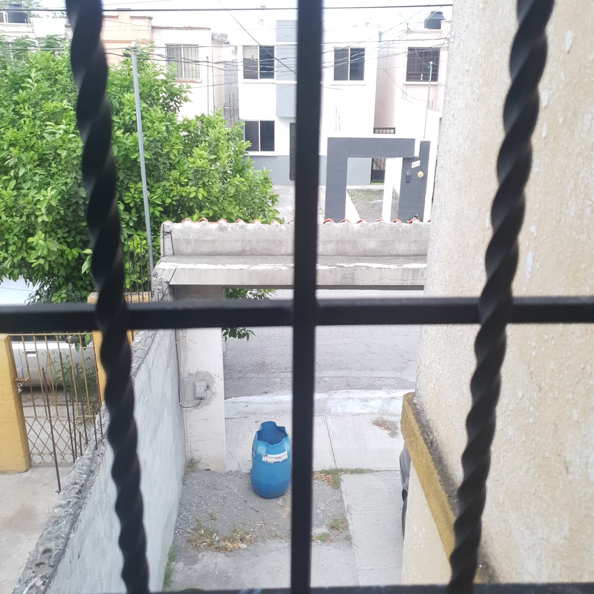 Dana_Arkham's tweet photo. Ya ni siquiera hay gente en la calle, alguien sabe que está pasando? 😭
#TwitteraturaLab https://t.co/xaO71wR5eF