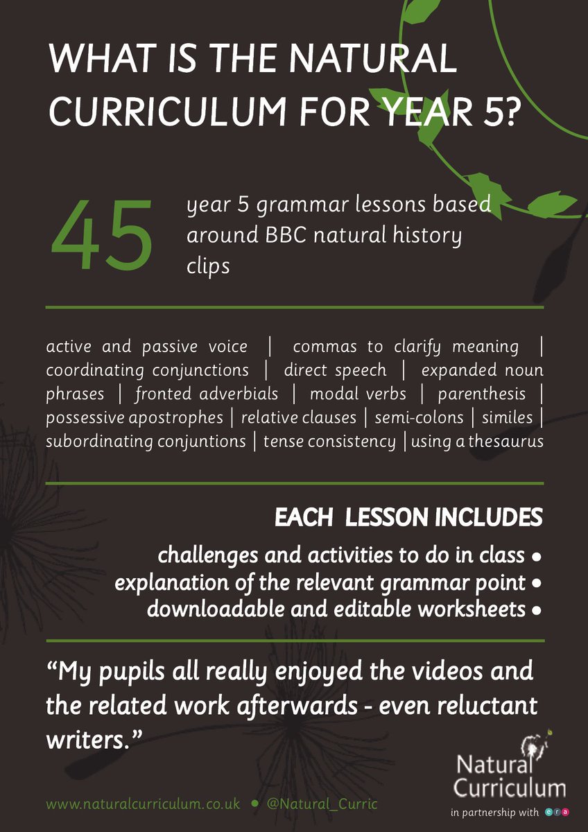 Natural_Curric's tweet photo. Not sure what to expect from our Year 5 grammar lessons? We've got a handy guide to show you!

With 45 lessons and plenty of topics to explore, there's sure to be something there for everyone 

Check them out now: https://t.co/A17fuw8Ofm https://t.co/SveBktwuIQ