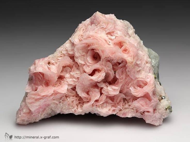 RT @AAlmohandis: This is a rose shaped rhodochrosite cluster from the Huachocolpa Mine in Peru.  
Crystal Serenity https://t.co/MWHWOS2zWU
