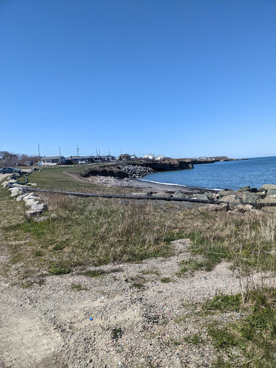 Mother's Day, giving our Mother Earth a hand today 🌊🌅 part of a province wide clean-up organized by our friends <a href="/ShoresScotian/">Scotian Shores</a> 💪 great job guys! We are glad to be involved🤝