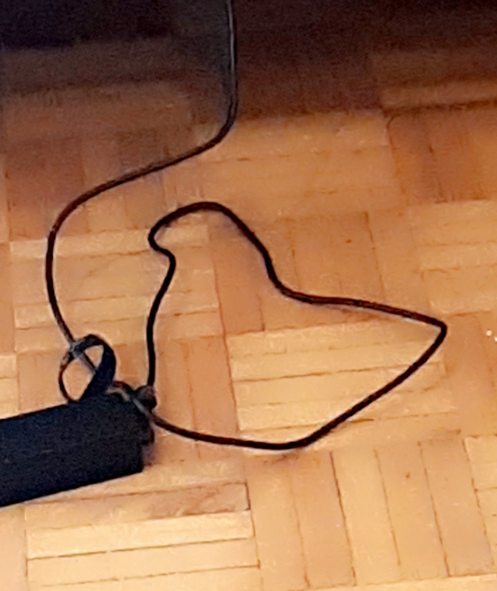 Elyza Madoko tweet media