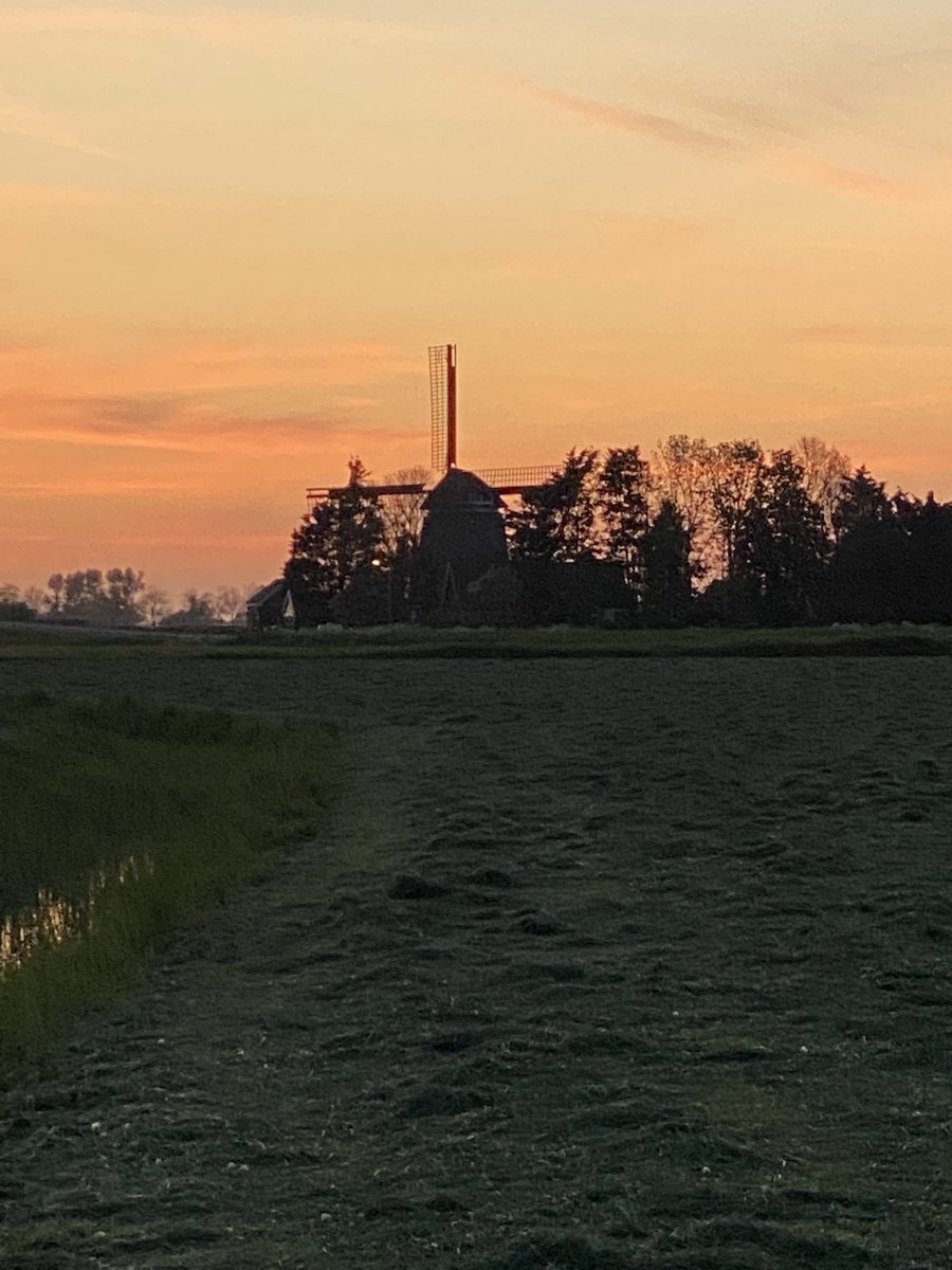 Trea Murphy 🌷 tweet media