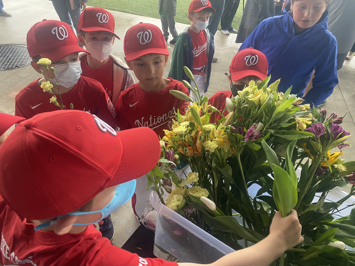 Arlington LL tweet media