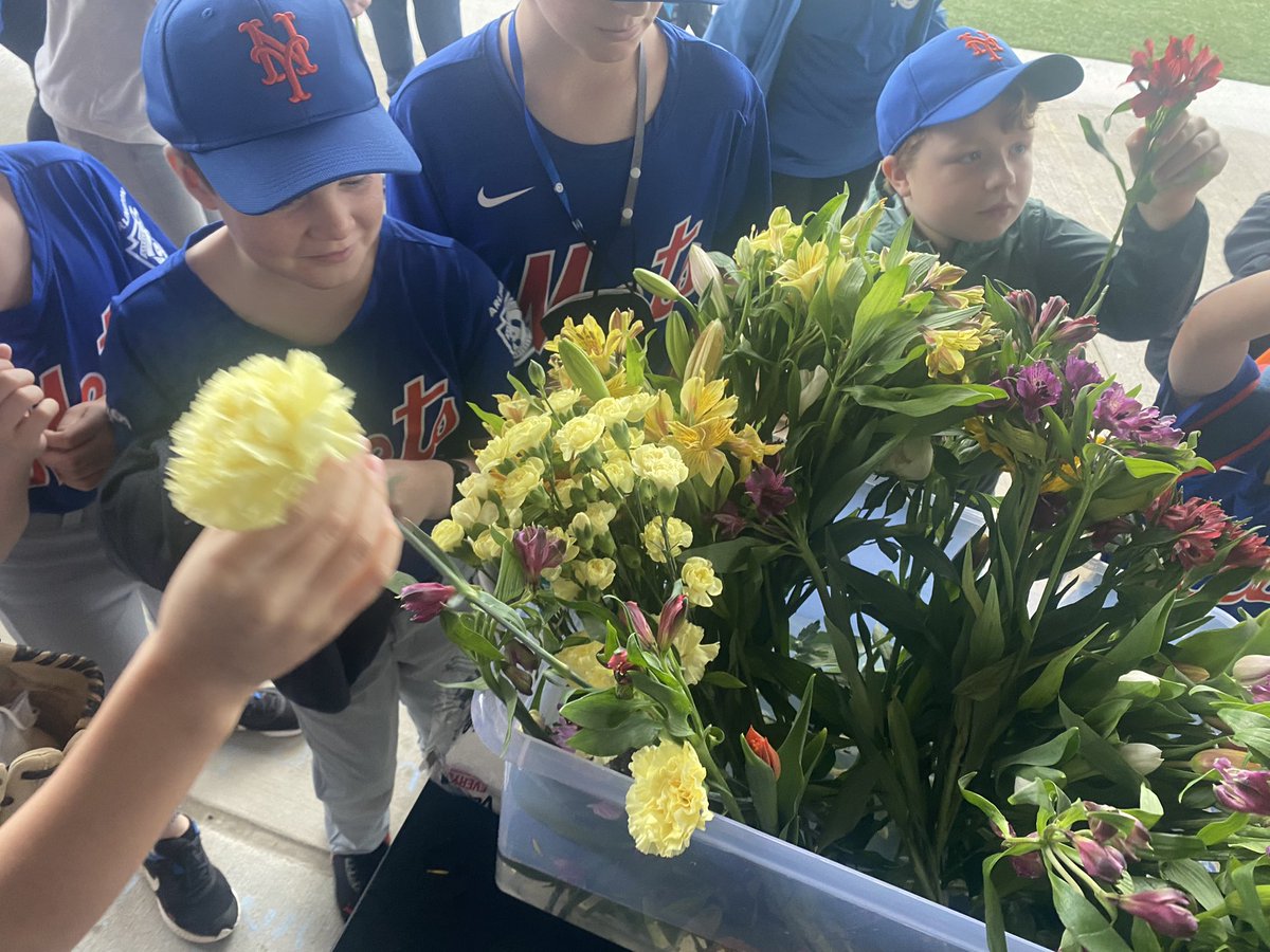 Arlington LL tweet media