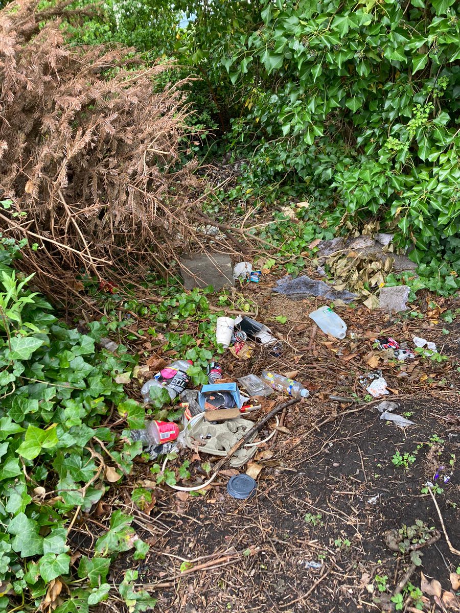 LitterfreeSB tweet media