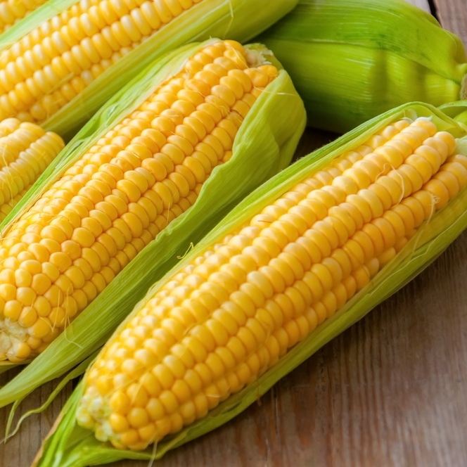 box_grocery's tweet photo. Season's favourite 😍  Fresh Corn on the Cob with Husk 🌽
Roast in the oven, grill with husk on, boil or bbq, these are just delicious! Tap to get them delivered right at your door 🚚  🛒  https://t.co/CZtGm2uvTG https://t.co/gwx6ZmqOtF