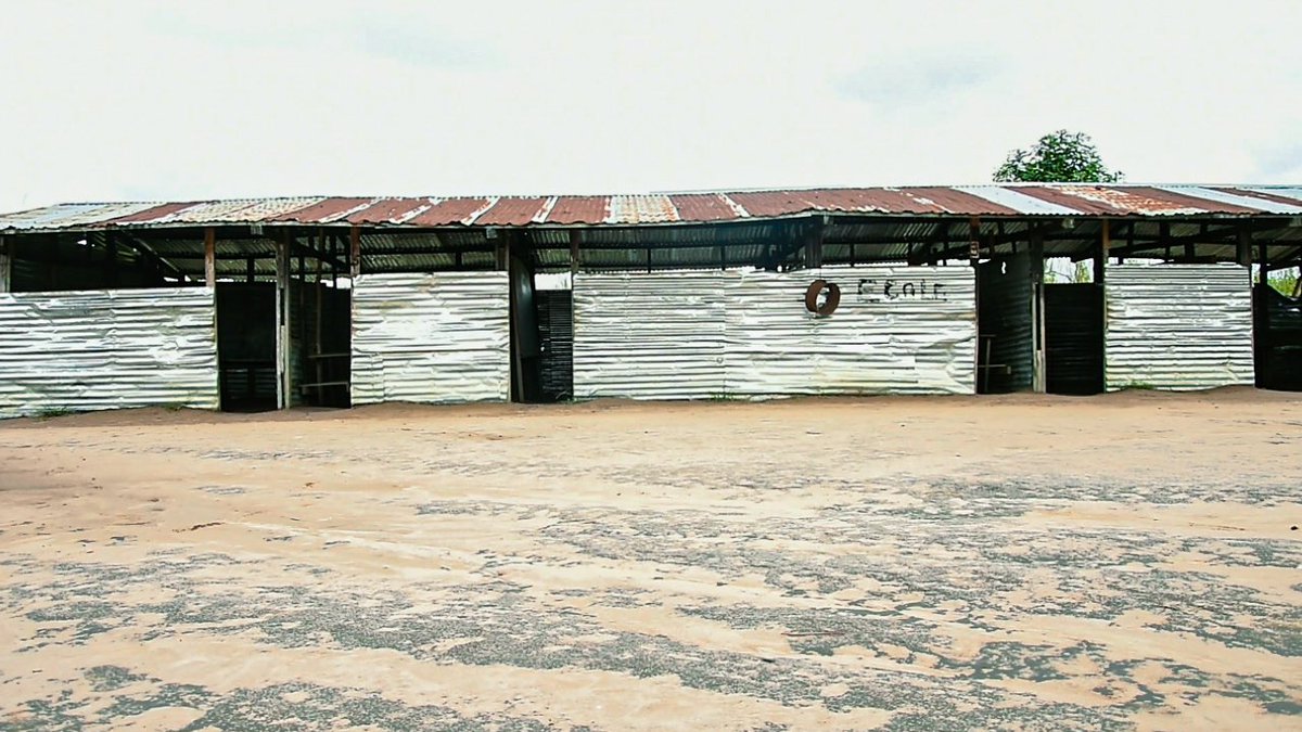 Andrea Moloto tweet media