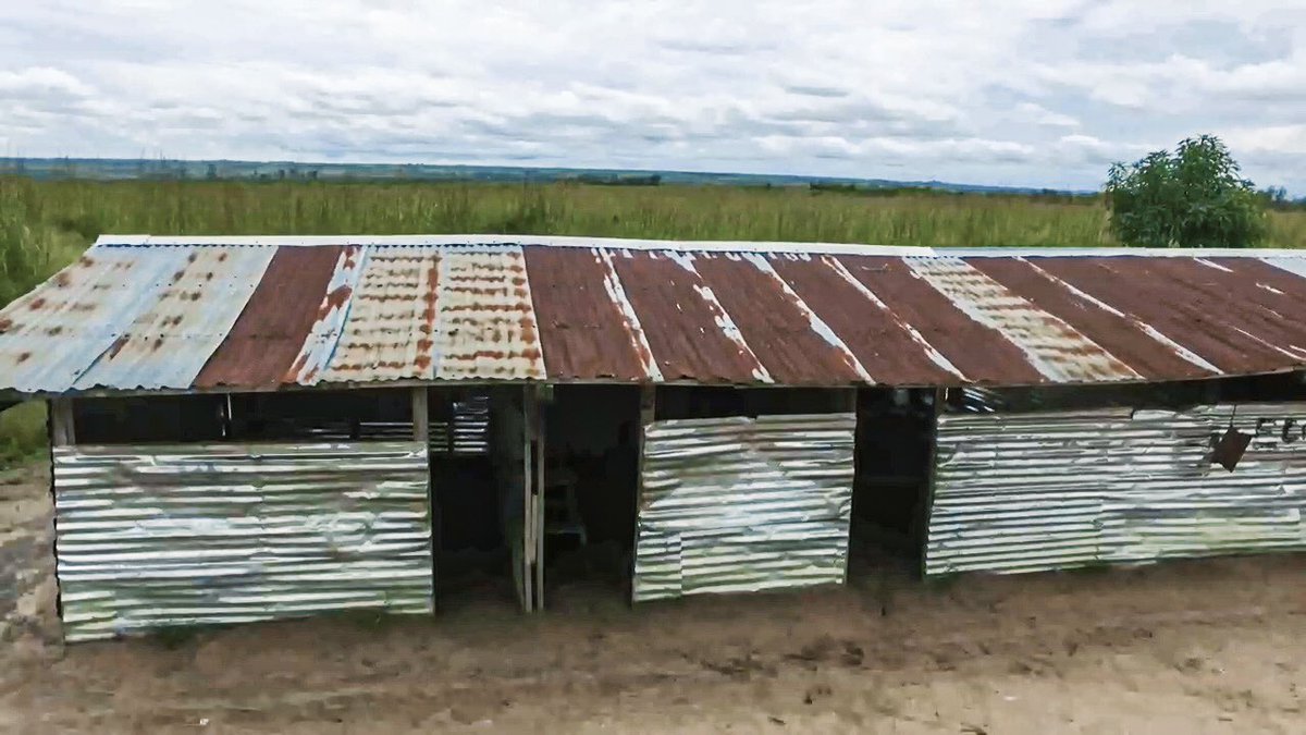 Andrea Moloto tweet media