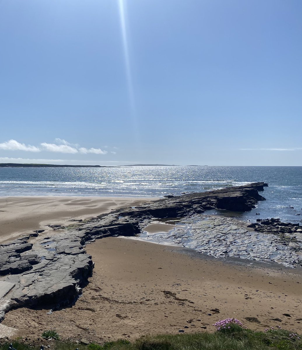 Henry McKean tweet media