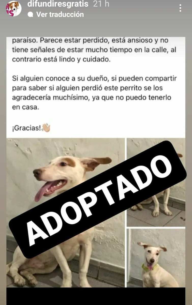 PerroUsuario's tweet photo. Lindas noticias para compartir 🙏👏👏🙏 https://t.co/kUX7hueFHX