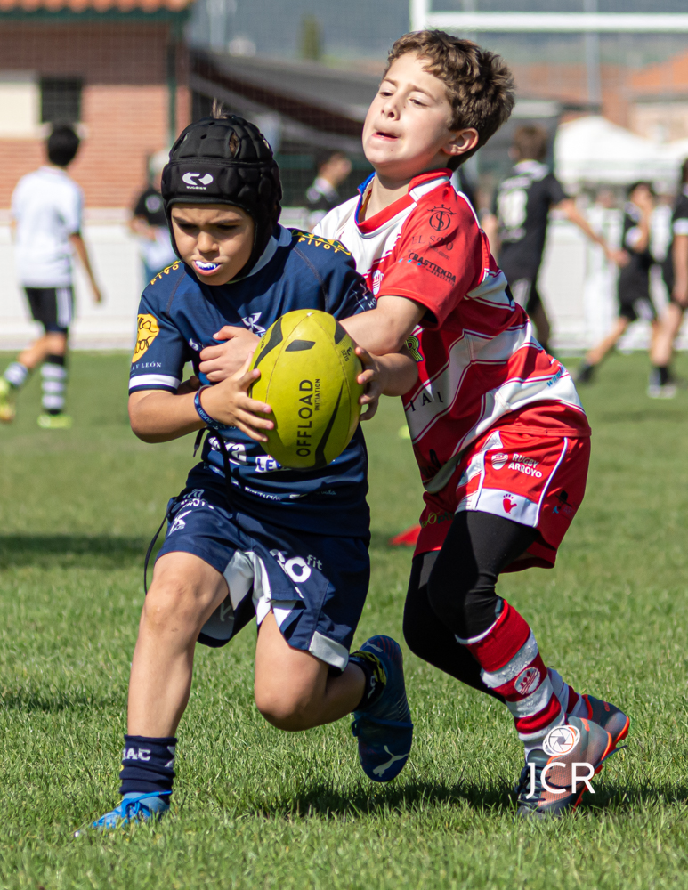 JCRfotorugby's tweet photo. #rugby #escuelarugby
🖥️ Reportaje amistoso canteras
@RugbyArroyo @VRAC @Chami_Rugby 
Enlace 👇👇👇👇
https://t.co/7W6uQIBc60
📸 @JCRfotorugby https://t.co/dBfrBU8FfO