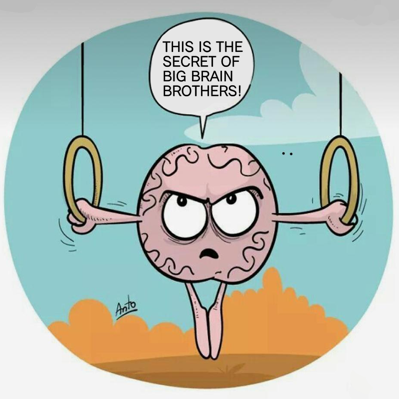 brothers_brain's tweet photo. You want to know our secret???
Put your Brain to work Join Big Brain Brothers on discord!!!
https://t.co/WMw3RHyp3N

#SolanaNFT #Solana #NFTCollection #NFTCommunity #NFTs https://t.co/jcp0i1LnTO