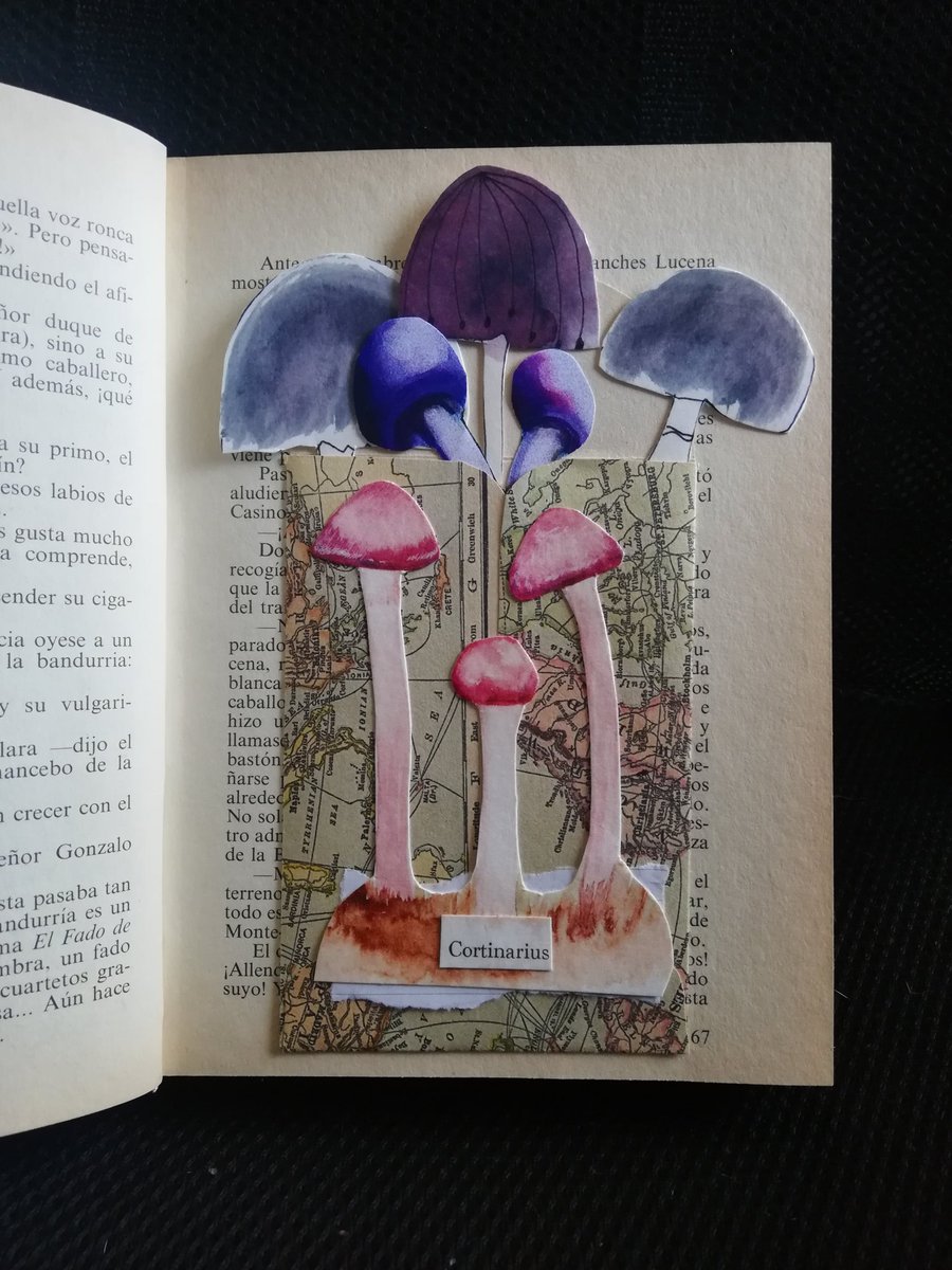 medussamanita's tweet photo. Cortinarius 🍄 #Collage #PopUp #LibrObjeto #Fungifest #Valdiviacl https://t.co/F2EDAcEtly