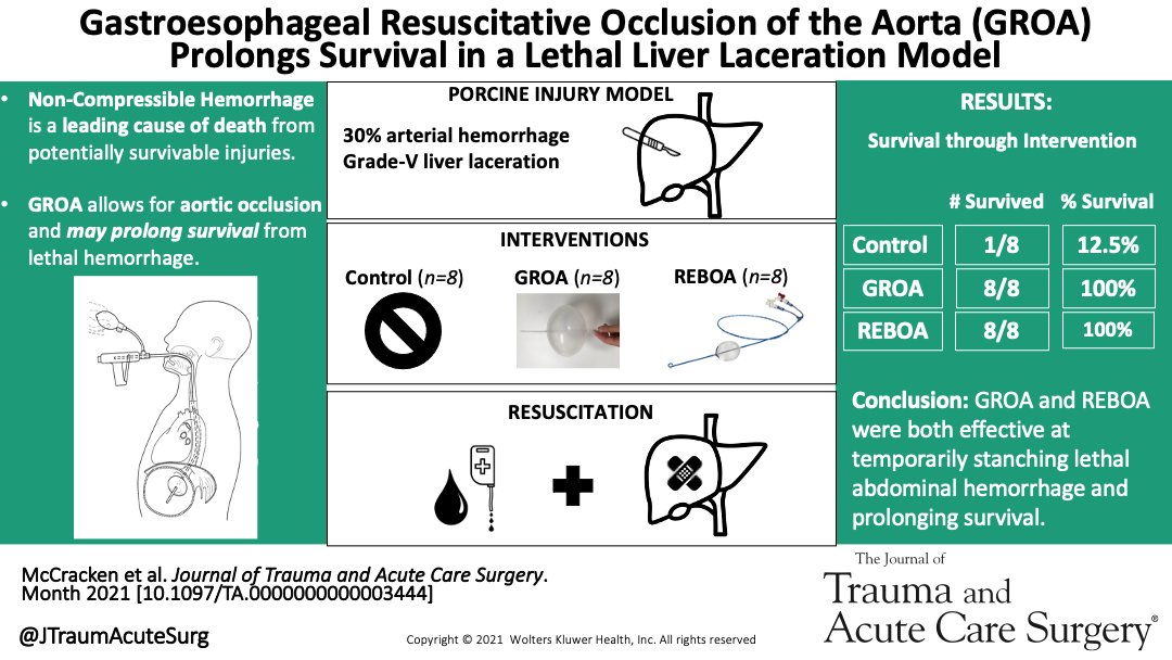 JTraumAcuteSurg's tweet photo. This work describes the utility of an investigational device known as GROA for temporary aortic occlusion which stanches non-compressible abdominal hemorrhage &amp; improved survival in a swine model of rapidly lethal liver laceration @HakamTiba #SurgTwitter https://t.co/M6iXjoYSRz https://t.co/ylKCGm0HkS