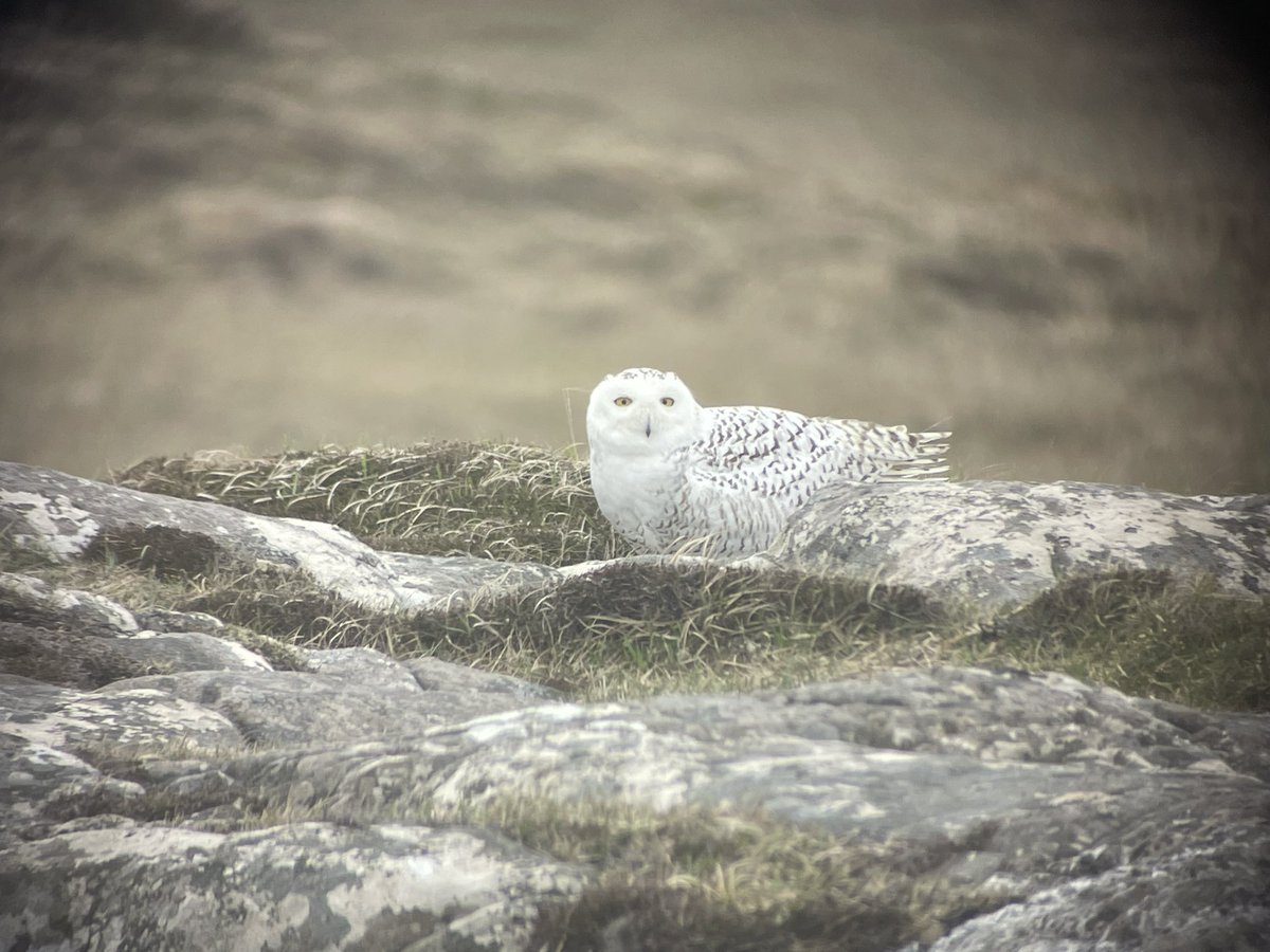 Martin Gillingham tweet media