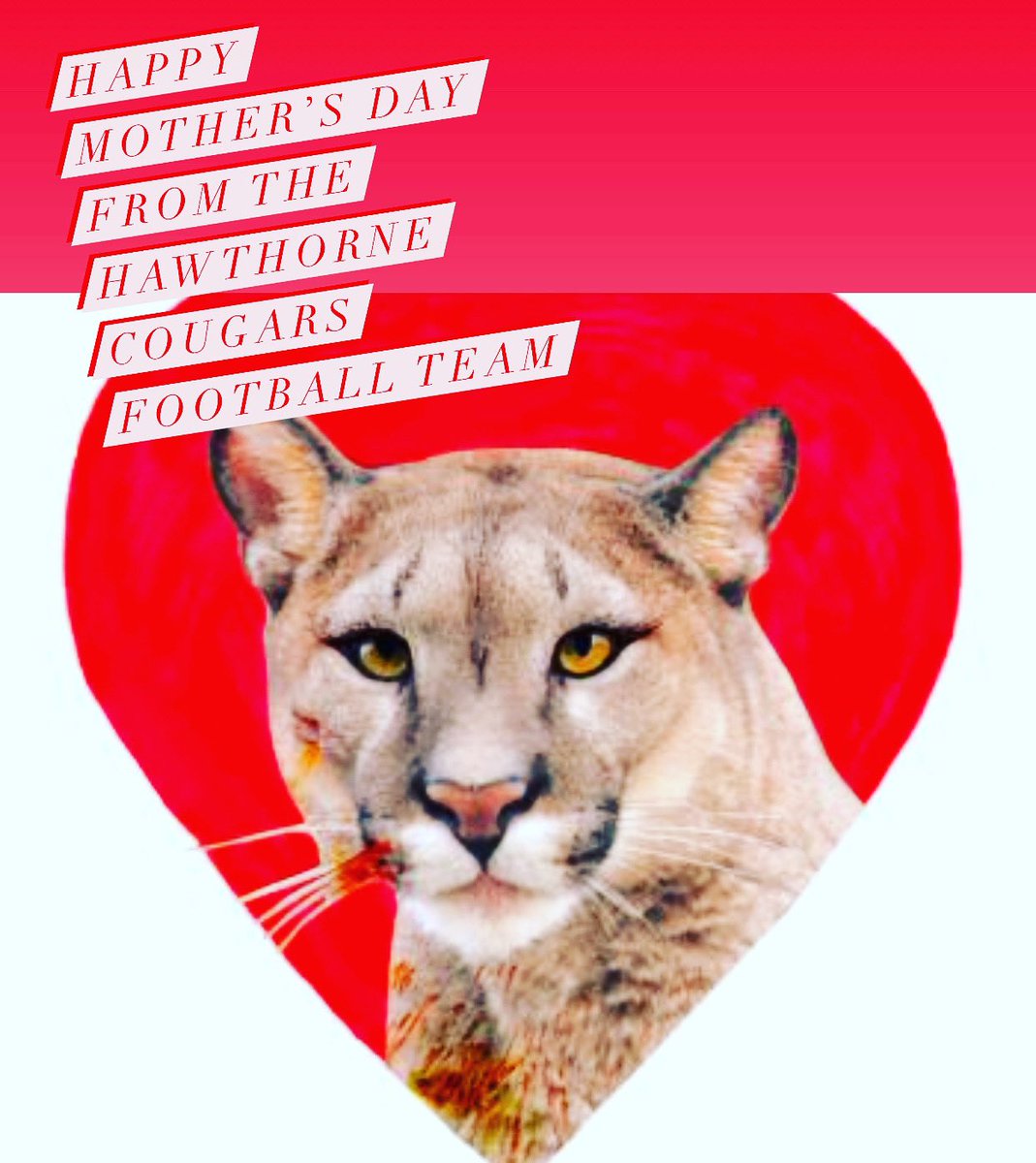 Hawthorne Cougars Football (@highhawthorne) on Twitter photo Happy Mothers Day from your friendly neighborhood Cougars ❤️💛<a href="/HHSCougars/">Hawthorne High</a> <a href="/CoachSeeThed/">Coach Thedford</a> Happy Mothers Day from your friendly neighborhood Cougars ❤️💛<a href="/HHSCougars/">Hawthorne High</a> <a href="/CoachSeeThed/">Coach Thedford</a>