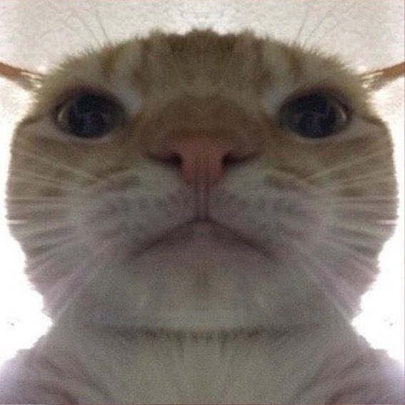 paekan_'s tweet photo. @ZerroxX_ @AyZuro_ https://t.co/khPePyTzRO
