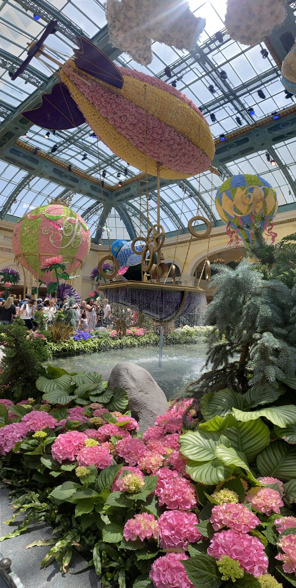 chiophilippakis's tweet photo. #bellagio #LasVegas #springbee https://t.co/dopYi3xn7f