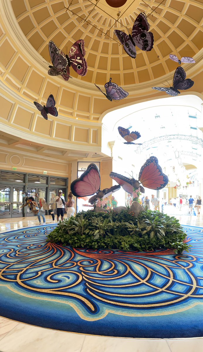 chiophilippakis's tweet photo. #bellagio #LasVegas #springbee https://t.co/dopYi3xn7f